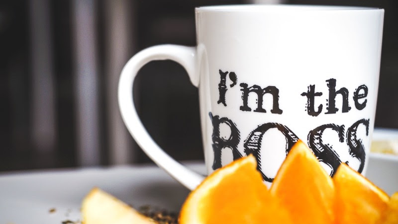 Fruits and I'm the Boss Cup HD