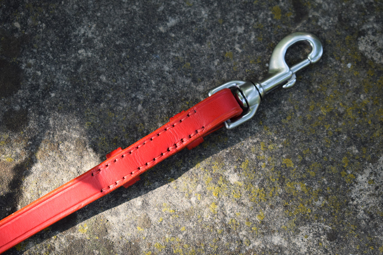 Red Leather Dog Collar Red Leather Dog Collar