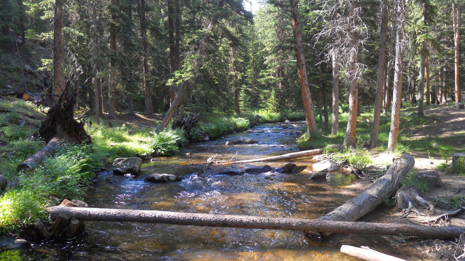 National Forest Camper Middle Fork Campground