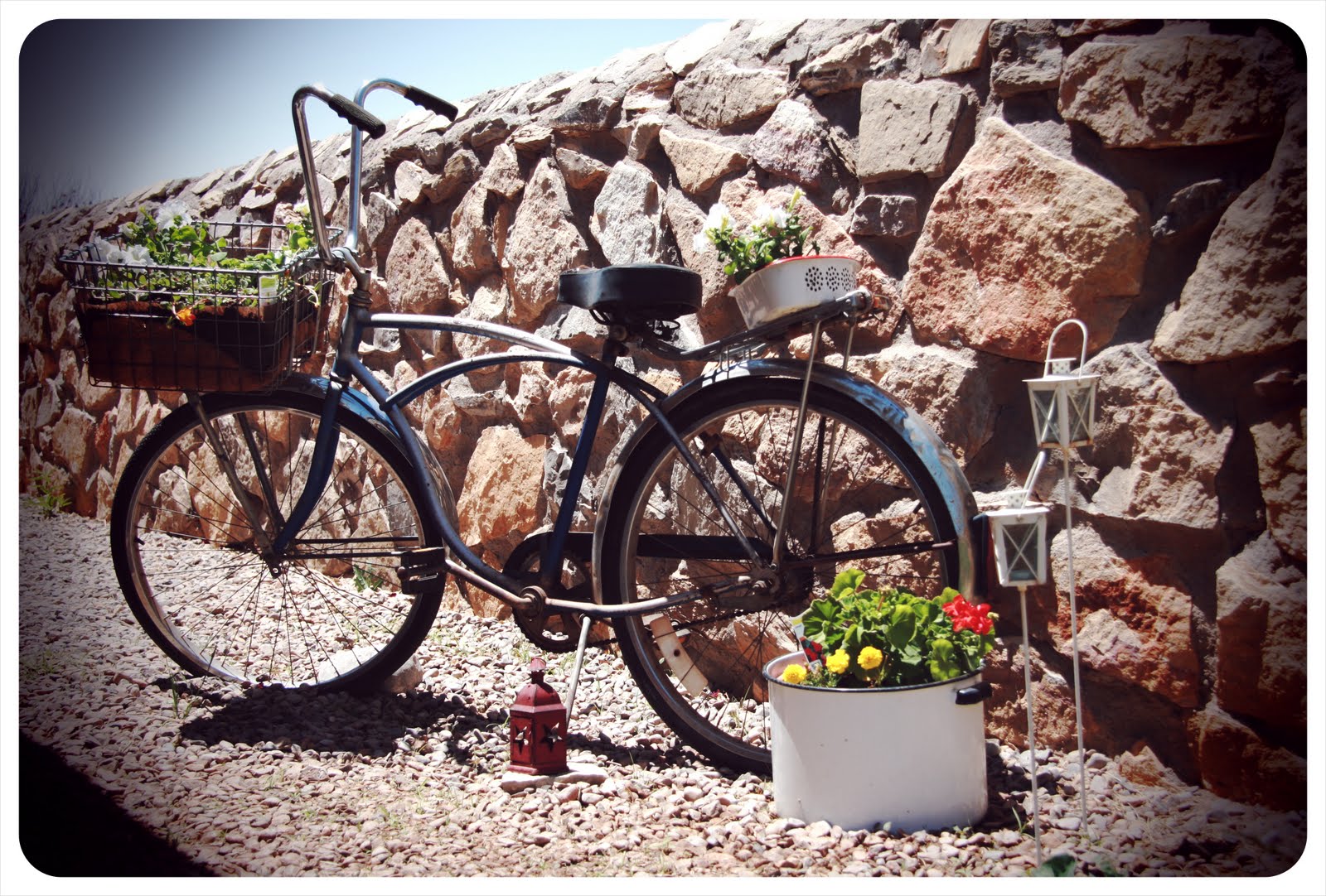 The Life of a Tree My Bicycle Planter