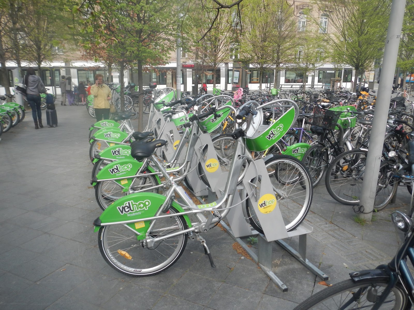 Resultado de imagen para estrasburgo bicicletas