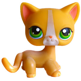 Littlest Pet Shop Small Playset Cat Shorthair (#72) Pet