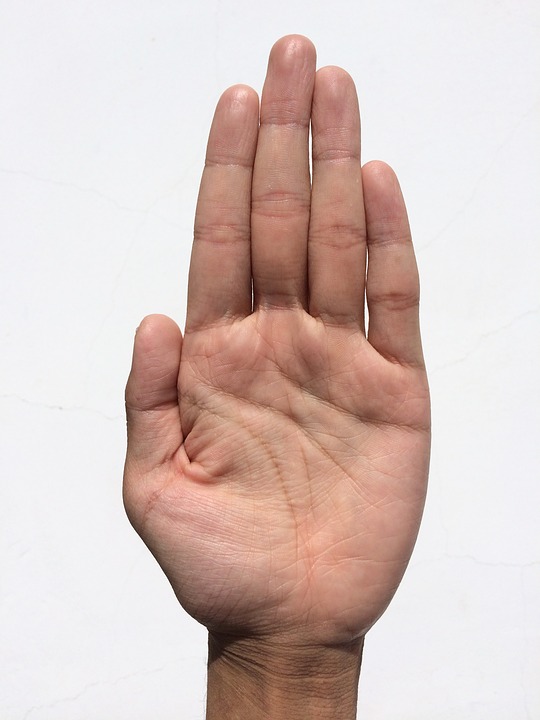 Palm Lines Palmistry Hand Reading PalmFate Palm Lines Palmistry Hand Reading PalmFate