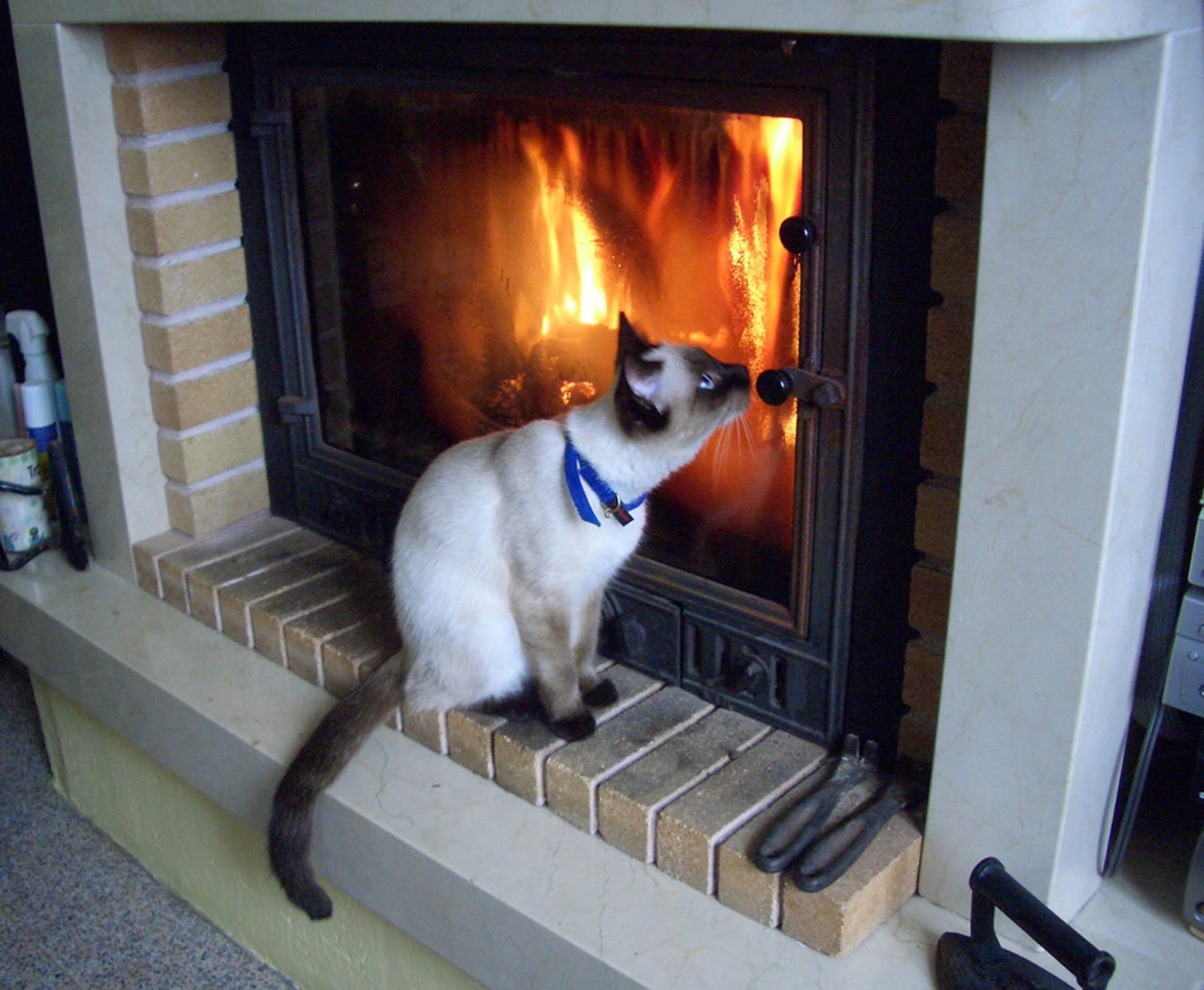 Marzua: Puertas de chimenea sin obras
