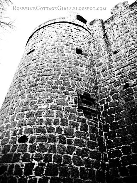 The tower of Hardenburg Castle - Germany