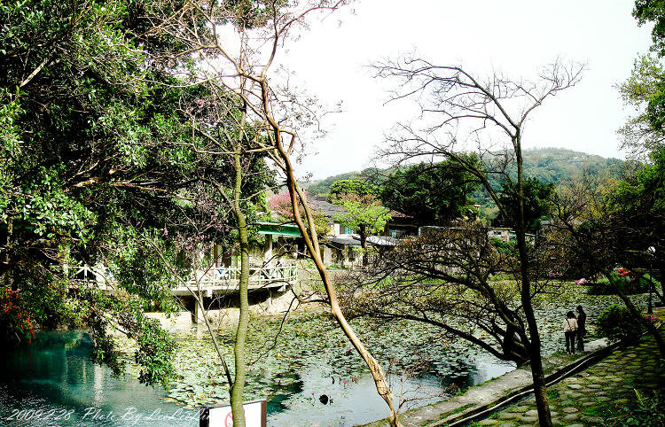 台北陽明山國家公園花季