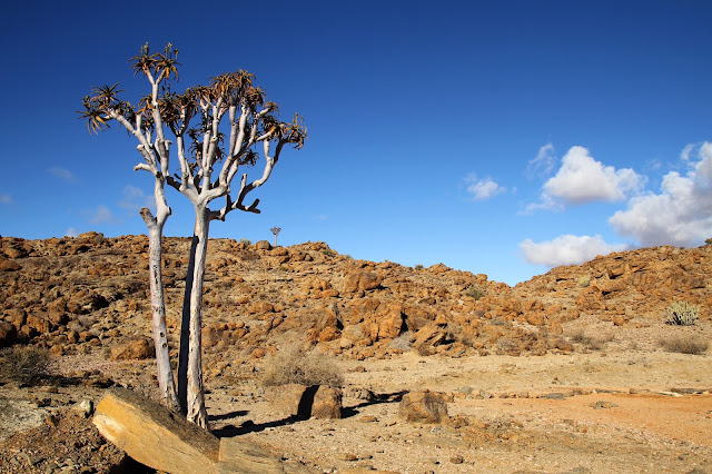 O grande e magnífico DESERTO DA NAMÍBIA | Visitar um dos lugares mais incríveis do mundo