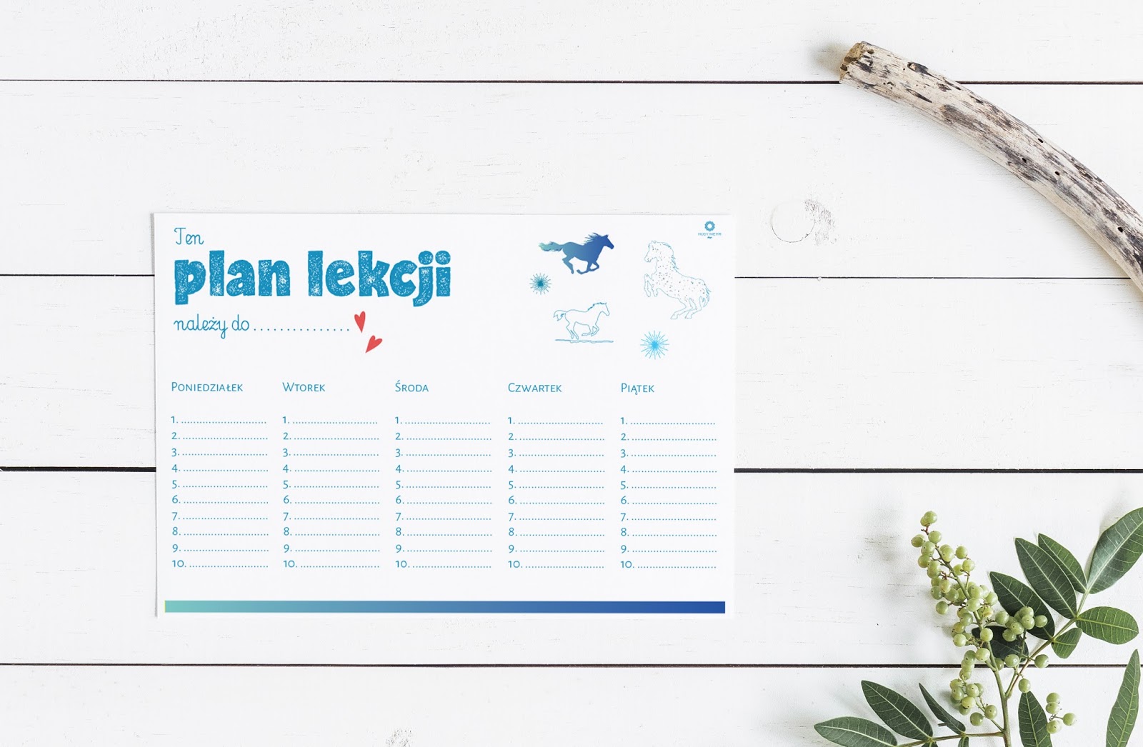 Plan Lekcji Nie Ma To Jak Statek - Plan lekcji do pobrania - Nudy nie ma