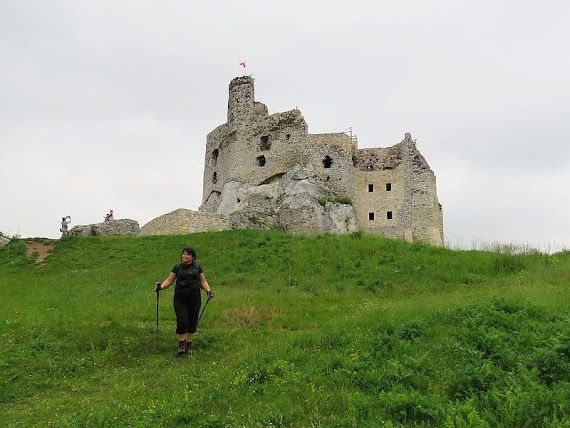 Zamek Mirów zamek