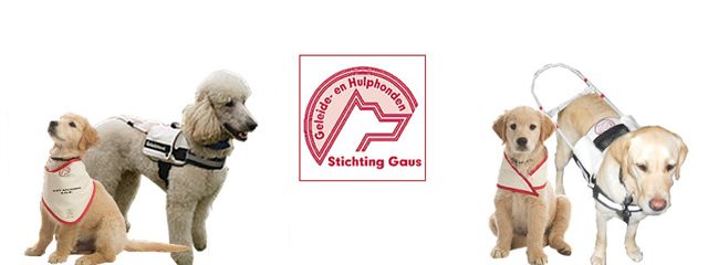 Stichting Gaus Geleide en Hulphonden