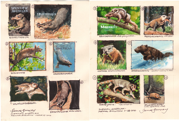 Mesozoic Era Mammals