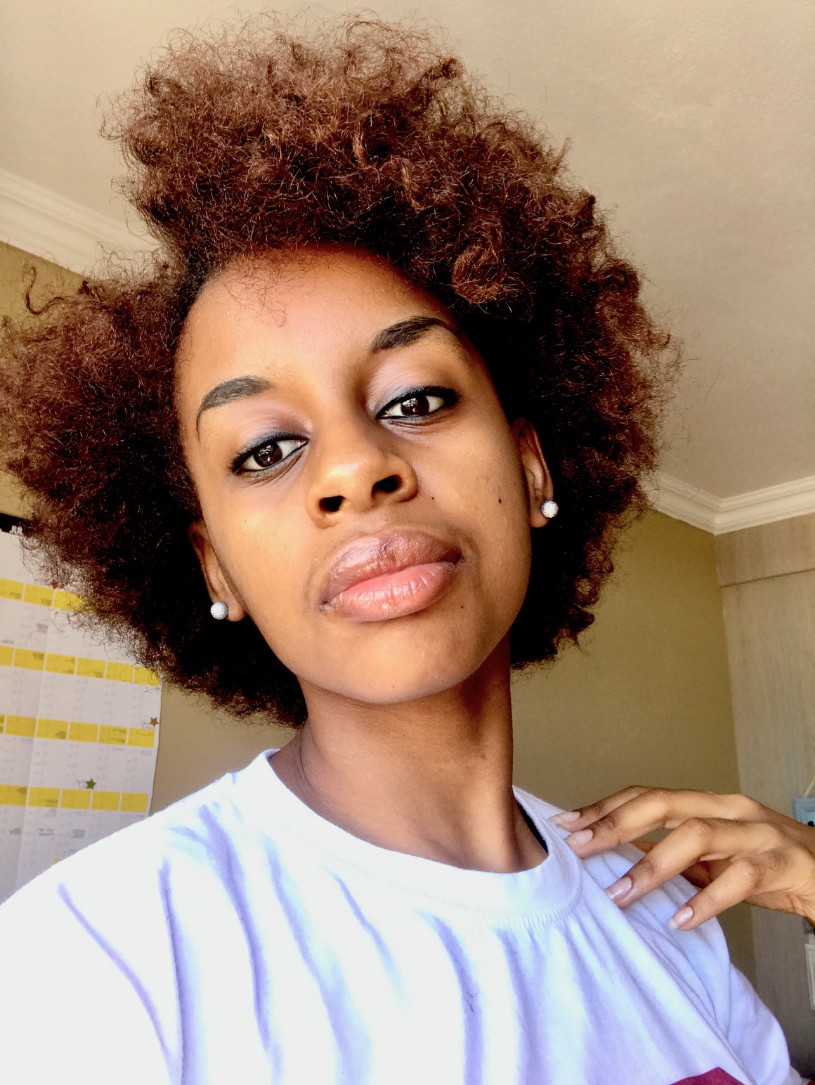 My Fro Chronicles Love Your Type 4 Hair