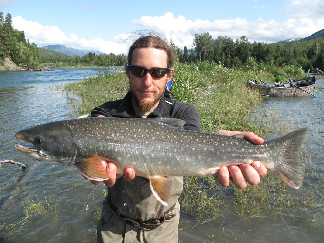 Dease Lake Fishing Holes 2017