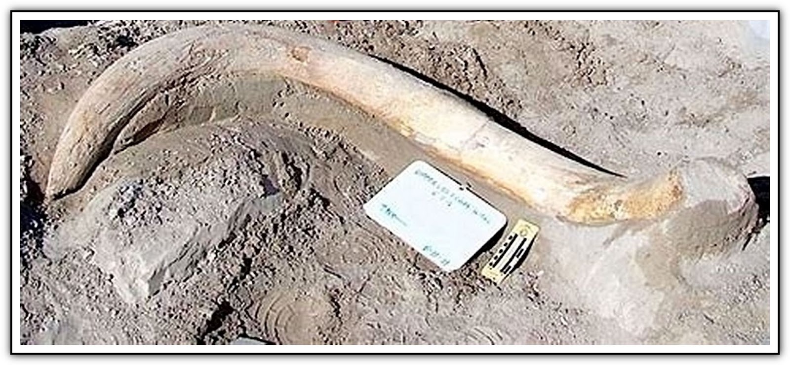 Ken's Photo Gallery Tule Springs Fossil Beds National Monument (TUSK