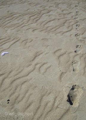 Je suis ses traces