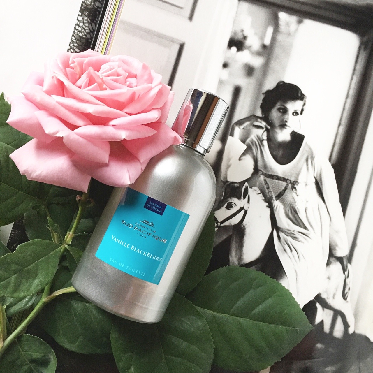 thebeautycove