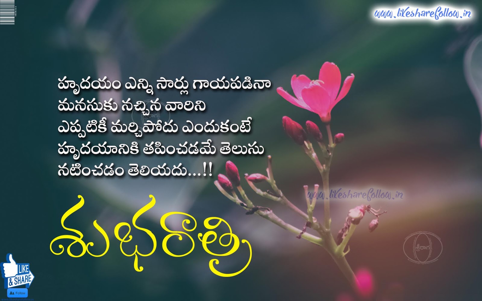 Telugu Good night wishes with Love quotes | Like Share Follow