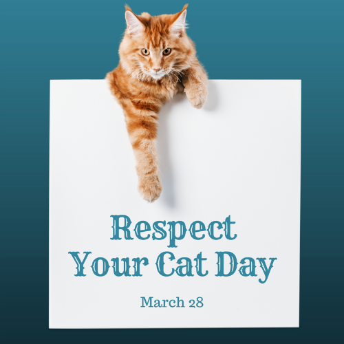 Уважение кошки. День уважения кошки. День уважения кошки (respect your Cat Day).