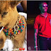 #LOL! Wizkid Aquired A Goat as His New Pet (Photos)
