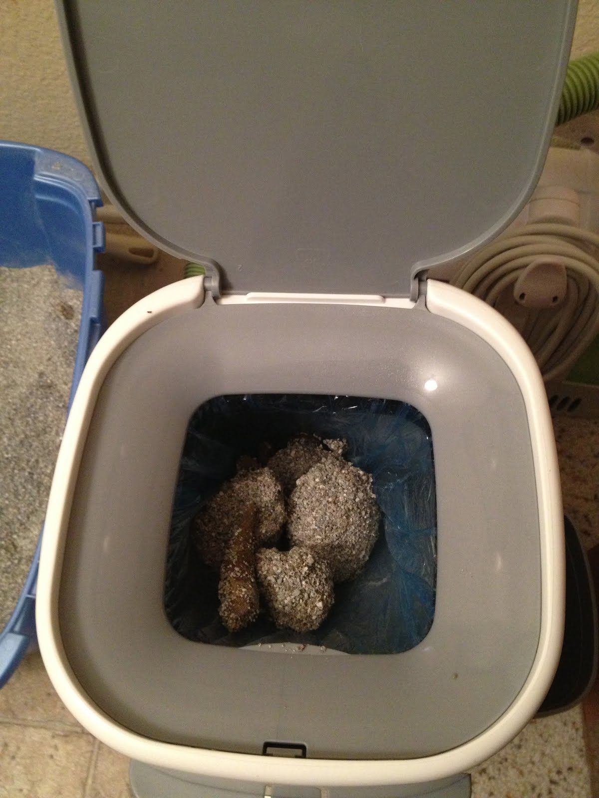 My Cat Boys Litter Genie First Time User How To