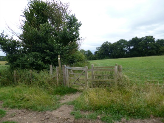 Photograph of fields and trees on Walk 32: Brookmans Park SW Loop
