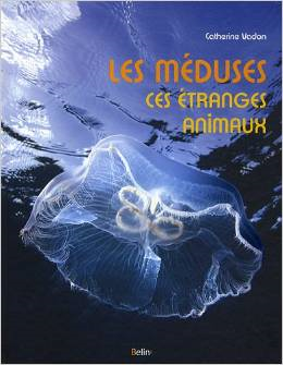 Livre sur les méduses