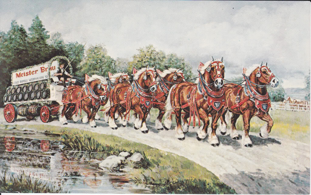 The Circus "NO SPIN ZONE" Vintage Draft Horse HitchesMeister Brau