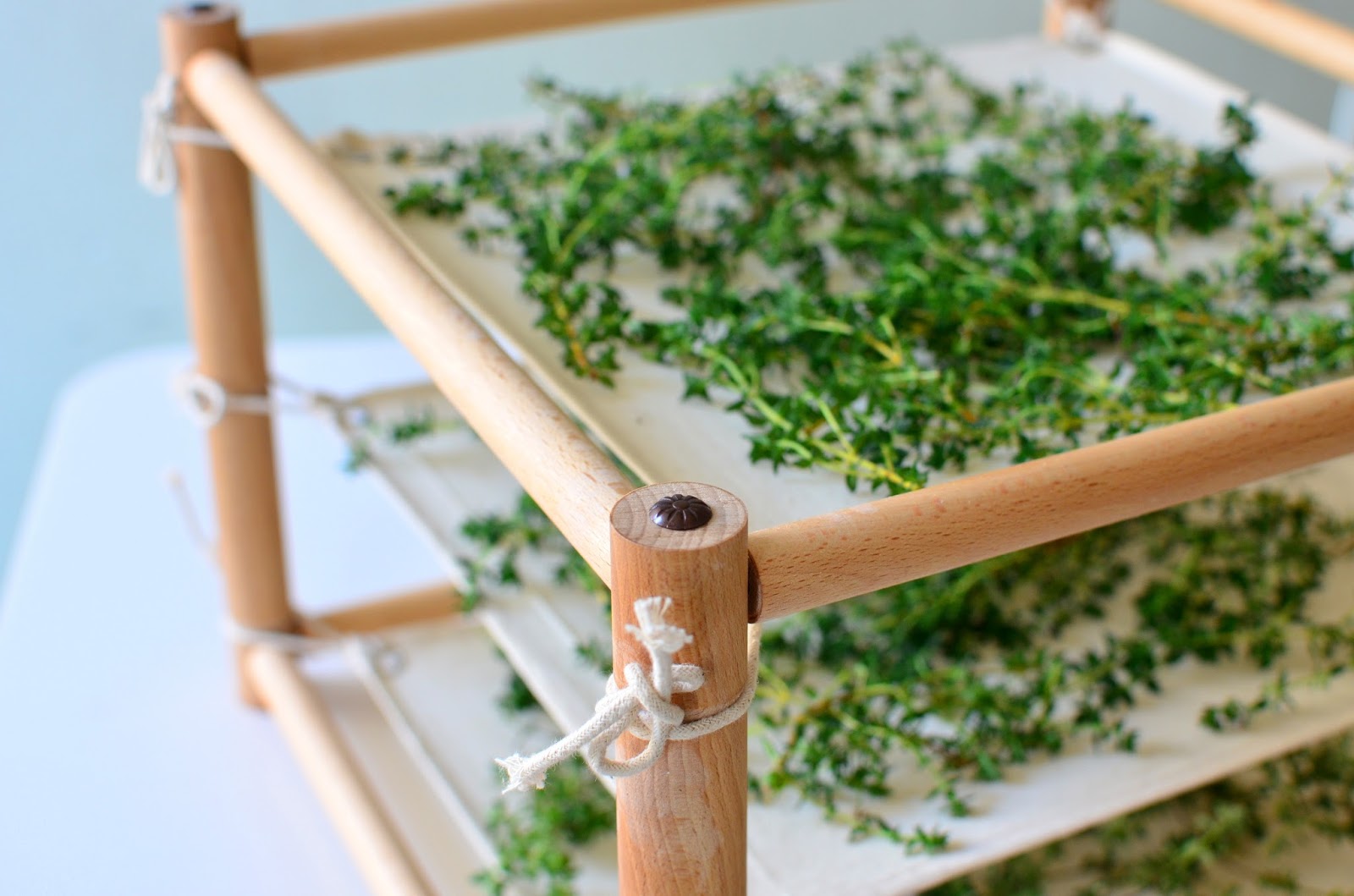 Herb Dryer ハーブ・タイム