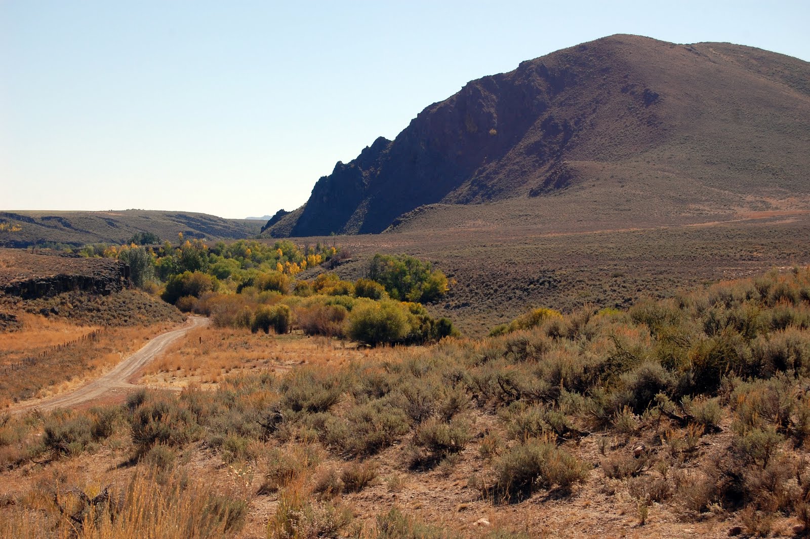 Idaho Nature Notes Winter Range The Importance of Sagebrush