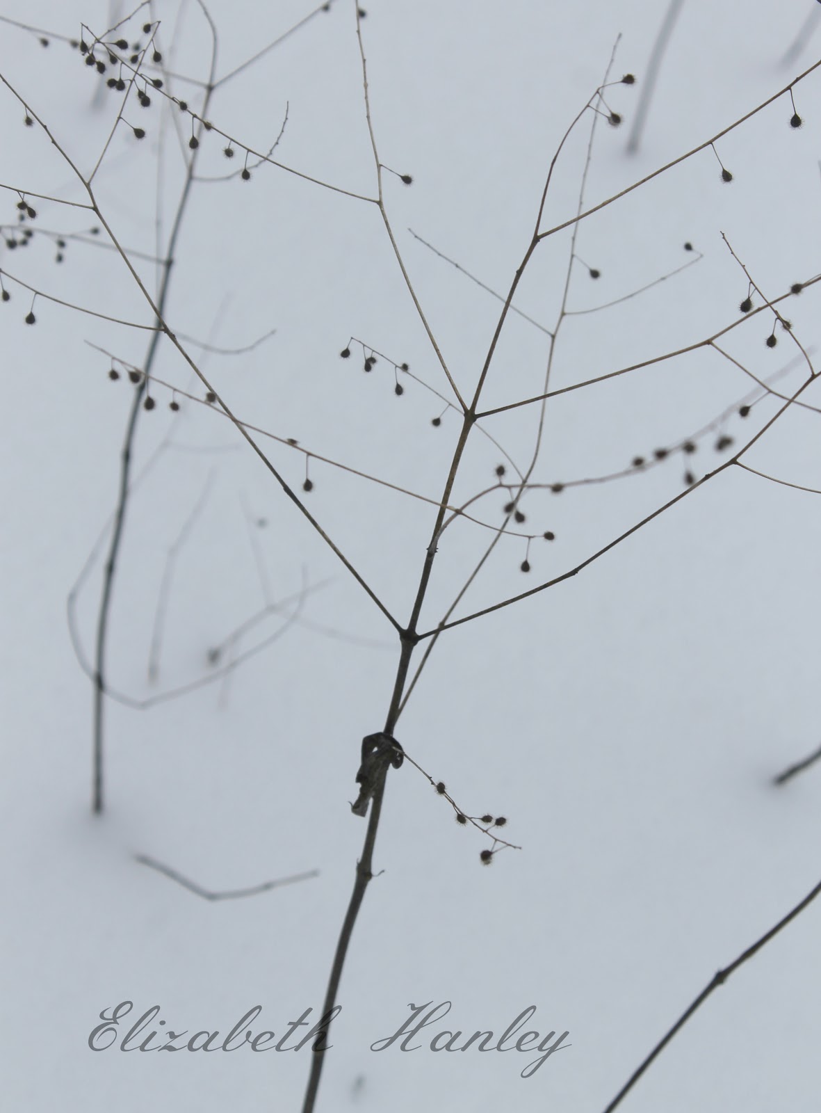 LizlovesVintage: winter wonder::