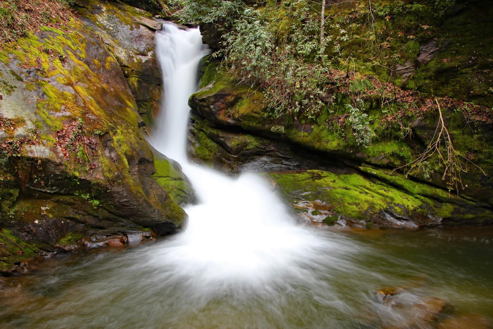 The Adventures of Bushwhack Jack 20190406 Darnell Creek to Double Knob