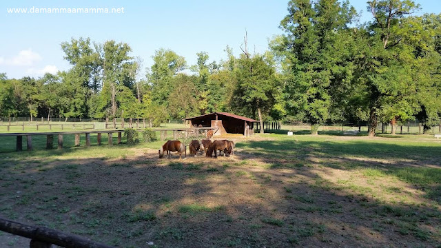 Parco della Preistoria