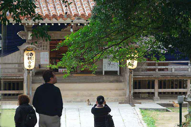 Temple, Buddhist, Kin Kannon-do, visitors