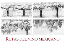 Rutas del Vino Mexicano