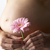 Baby Tubes and Artificial Insemination, What's the Difference?