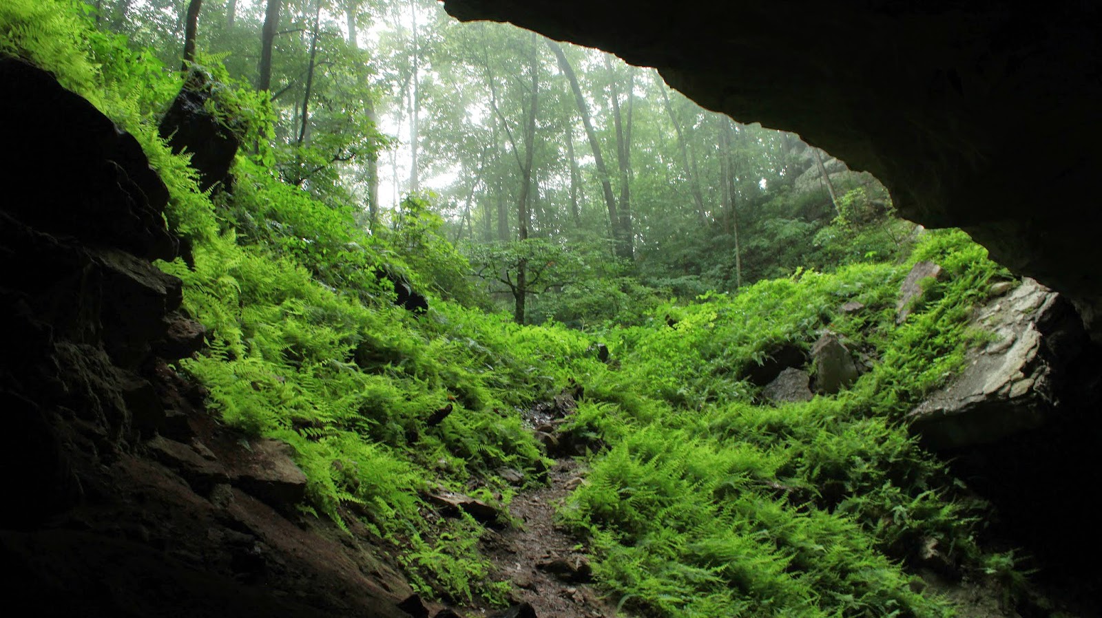CAMPS GULF CAVE ADAM HAYDOCK