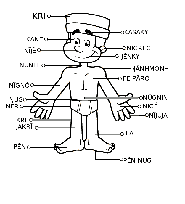 Língua Kaingang em Sala de Aula Há Jyjy Vẽ Partes do Corpo Língua Kaingang em Sala de Aula Há Jyjy Vẽ Partes do Corpo