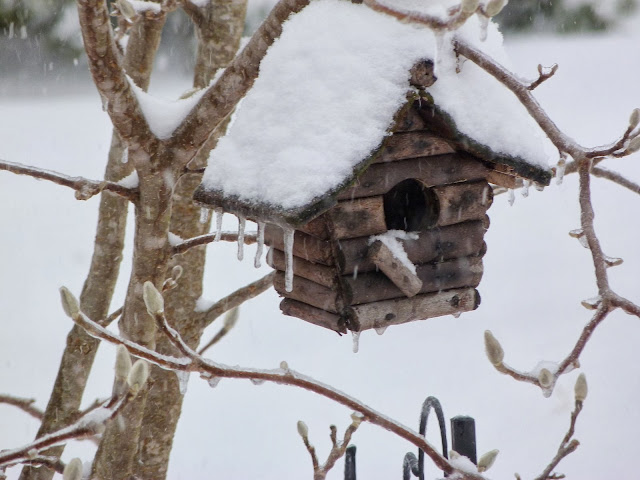 Ozarks birdhouse