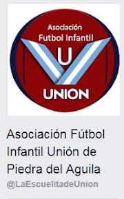 Fútbol Infantil Unión PDA