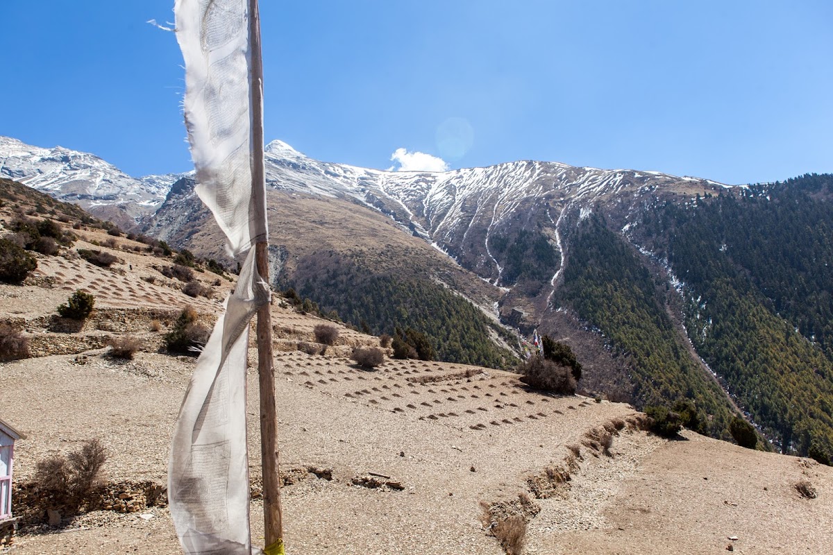 200км по красно-белым черточкам.. Around Annapurna. март-апрель 2017