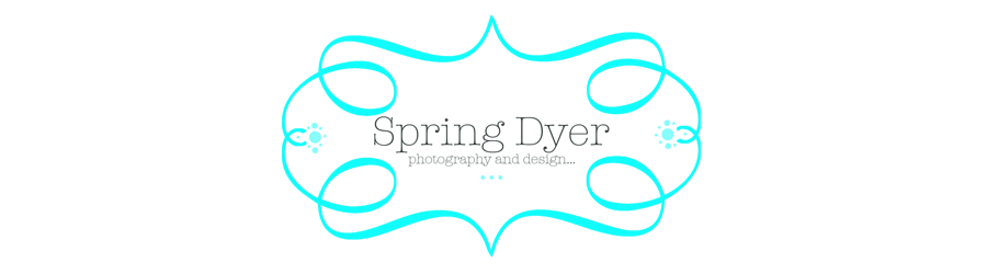 Spring Dyer Photography