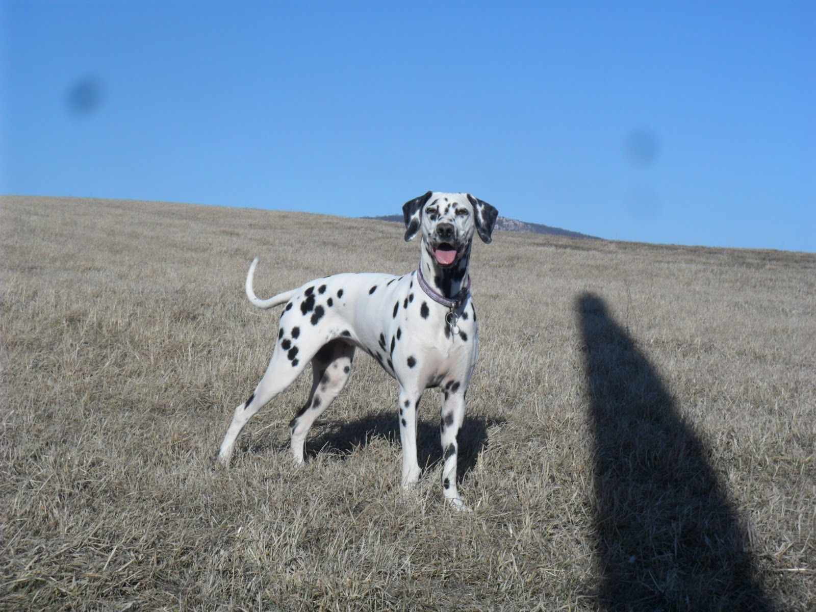 SAM_6305.JPG