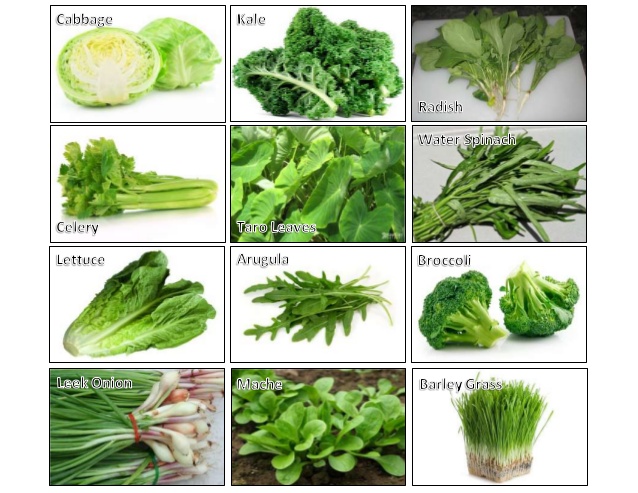 Зелень типы. Зелень для салатов названия. Салатные листья названия. Наименование зелени для салатов. Виды зеленых салатов.
