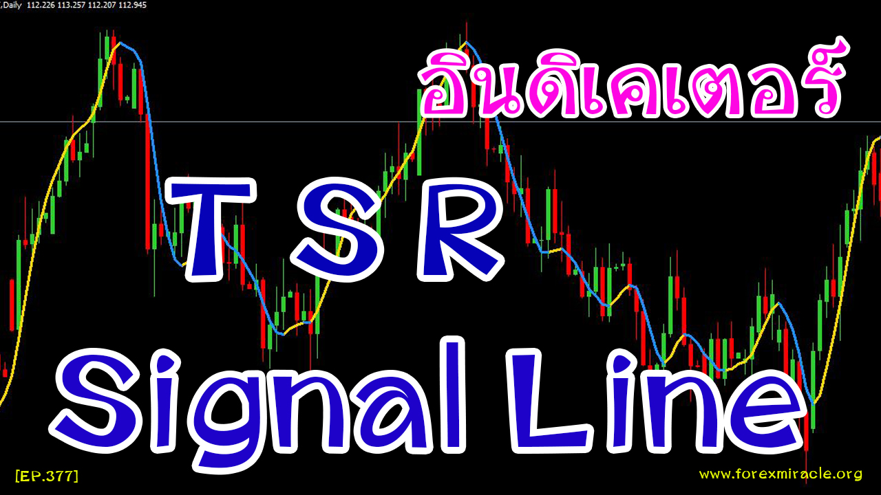 Forex signal factory