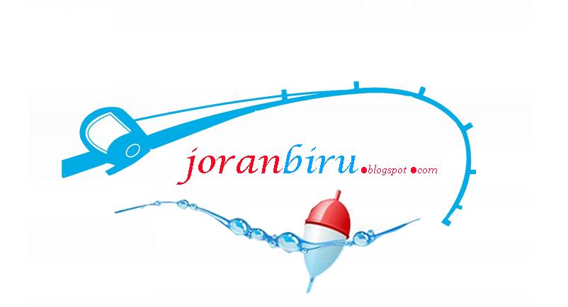 joranbiru.blogsport.com