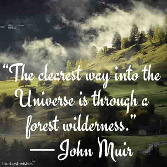 the-clearest-way-into-the-universe-is-through-a-forest-wilderness the clearest way into the universe is through a forest wilderness