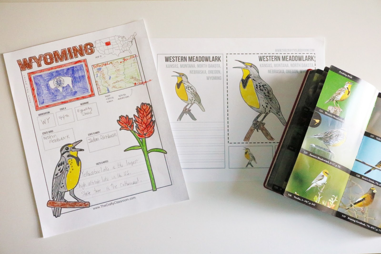 Learn about the States with the USA Activity Bundle from The Crafty