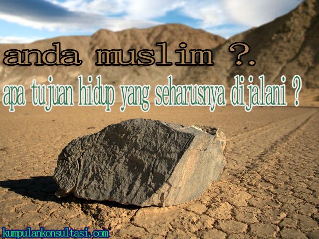 anda muslim ?. apa tujuan hidup yang seharusnya dijalani ?