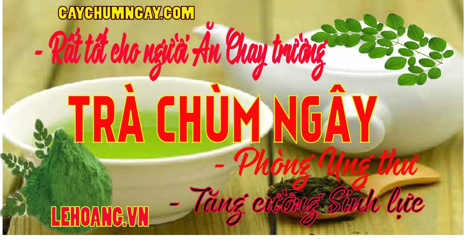 c%25C3%25A2y%2Bch%25C3%25B9m%2Bng%25C3%25A2y%2B%2528797%2529.jpg c%25C3%25A2y%2Bch%25C3%25B9m%2Bng%25C3%25A2y%2B%2528797%2529.jpg