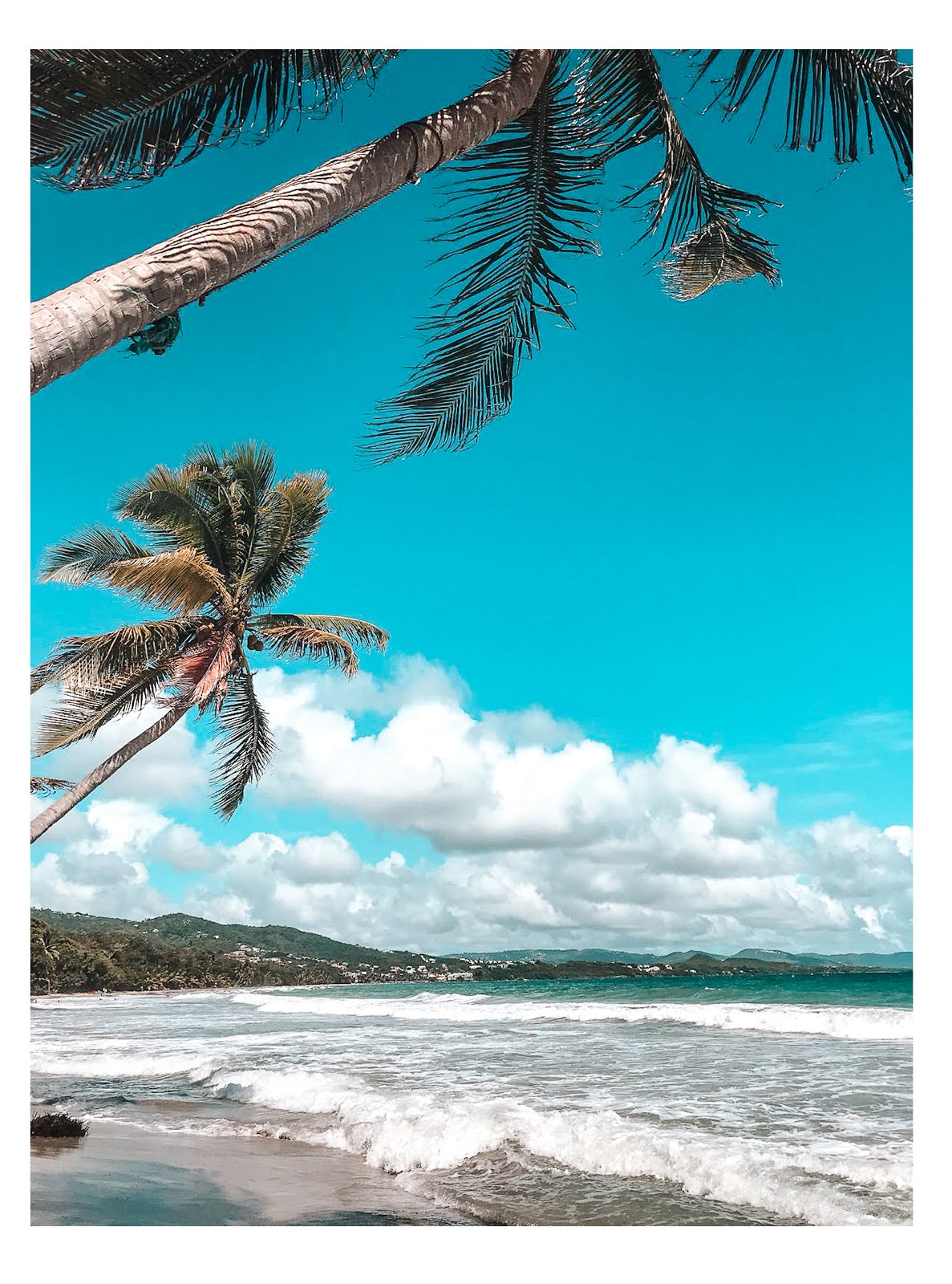 palmiers au premier plan et plage et commune du diamant et son eau turquoise au second plan